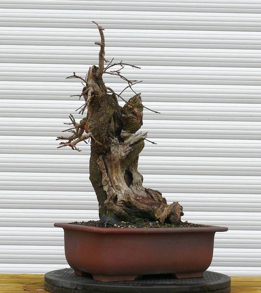 P1020948.JPG
