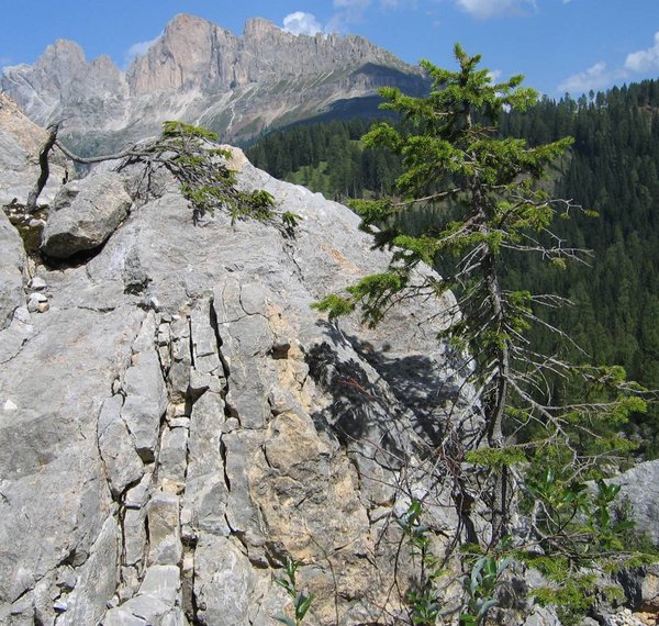 alpen1.jpg