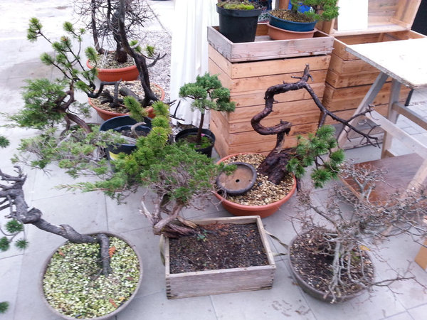 Alles im Angebot