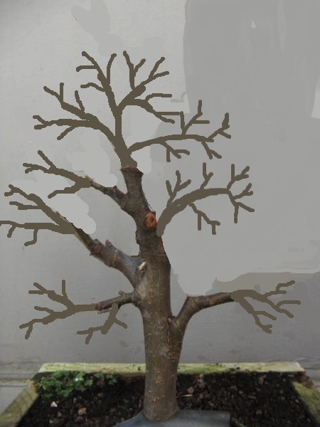 Apfel bearbeitet.jpg