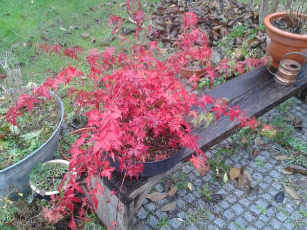 2014-11-17 09.32.56.jpg