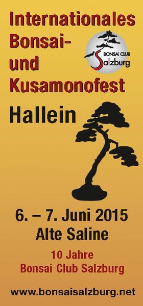 Flyer 2015 200 kb jpg.jpg