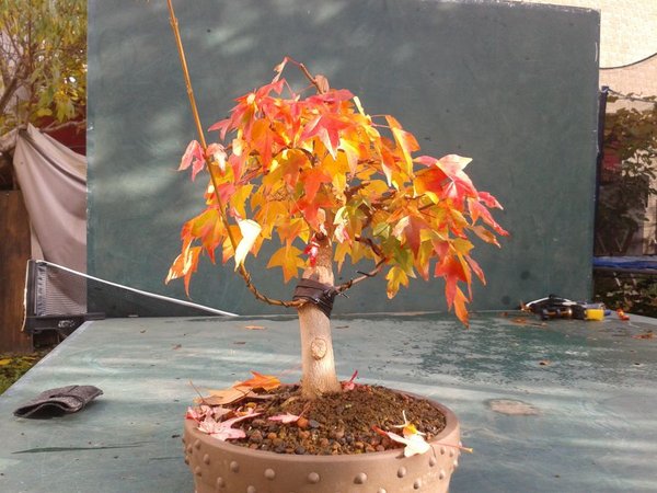 2014-11-07 10.20.29.jpg