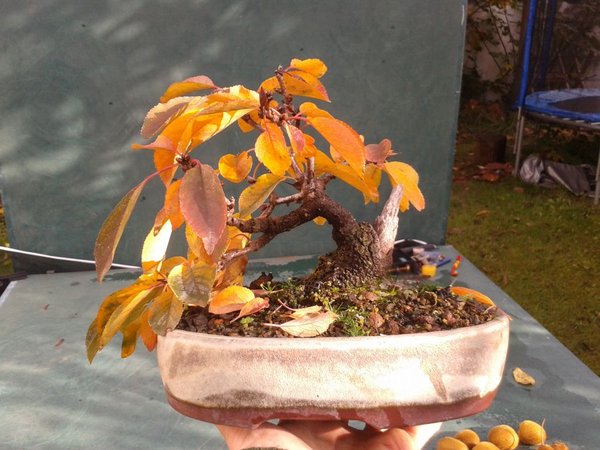 2014-11-07 10.21.33.jpg