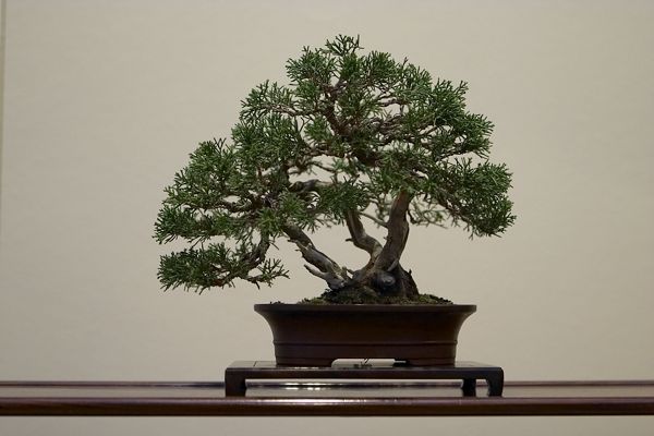 CRW_2627-1.jpg