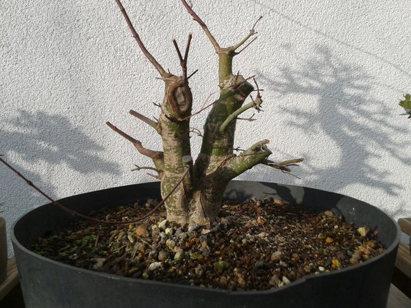 2014-11-28 12.56.34.jpg