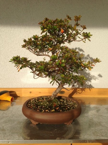 Foto1.jpg