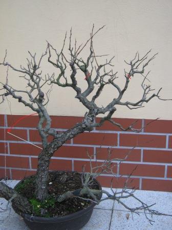 IMG_0344.JPG