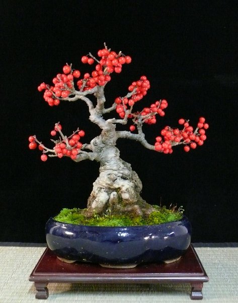 P1110930k.JPG