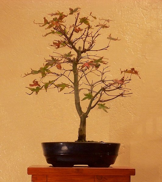 DSCN39710002 3.jpg