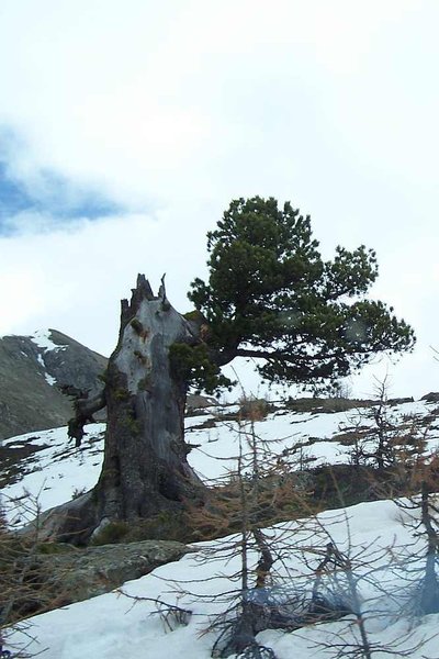 100_5330.JPG