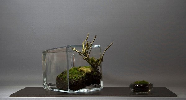 Modern Living Style I