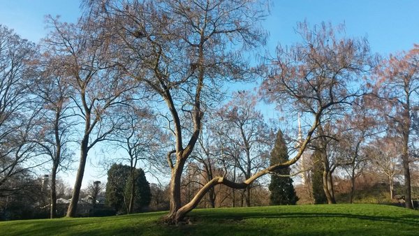 20150105_142410.jpg