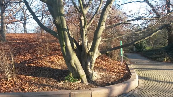 20150105_142437.jpg