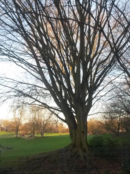 20150105_160314.jpg