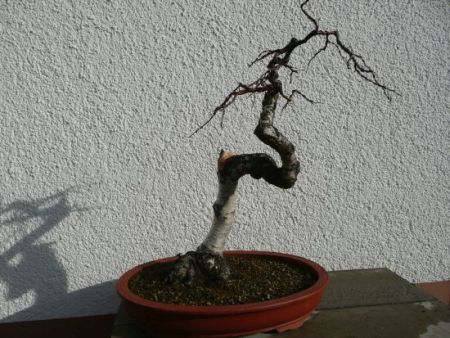 P1000717.jpg