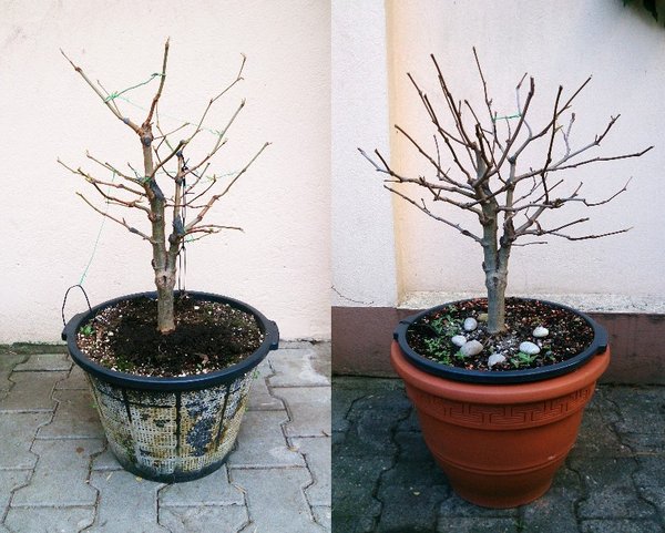 03.2014 vs. 11.2014