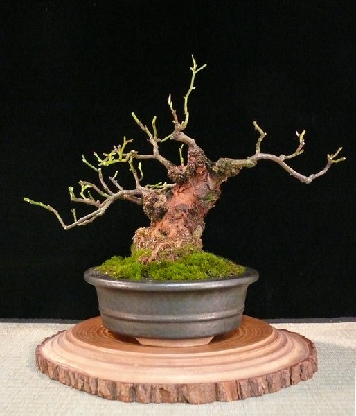 P1120246k.JPG