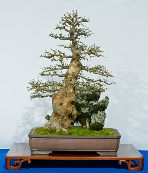 IMG_0301_small.jpg