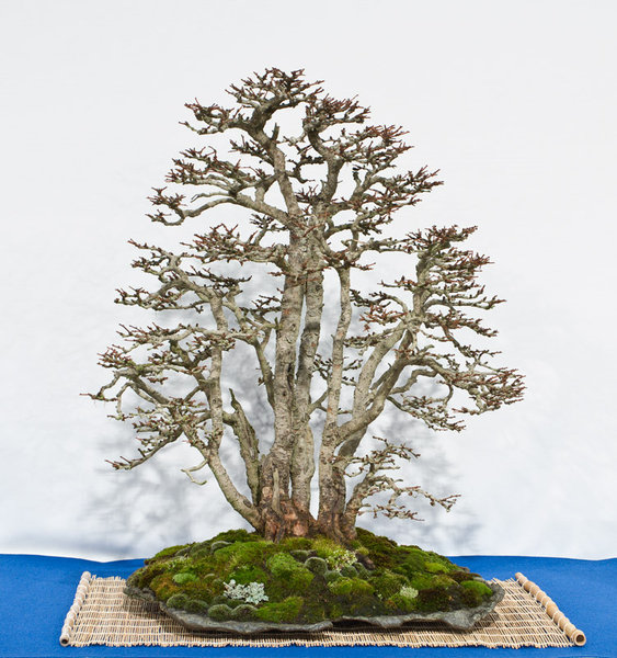 IMG_0330_small.jpg
