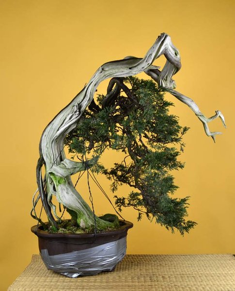 Gaby-sabina-008bear-web.jpg