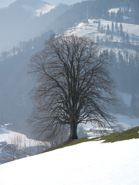 IMG_1267a..jpg