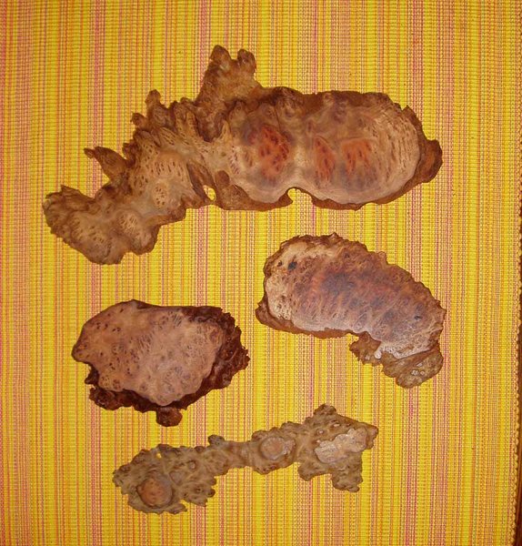 Wurzelholzplatten ca. 12 -25 cm