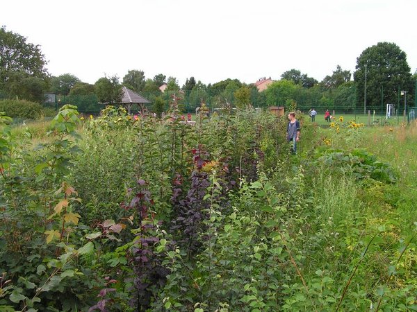 Größenvergleich am 13.8.2011