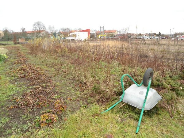 Acker am 14.12.2011