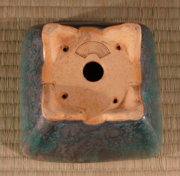 P1120276k.JPG
