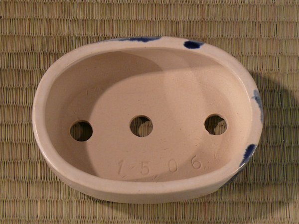 P1120280k.JPG