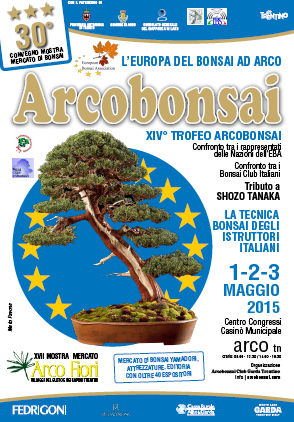 Arco-Bonsai.jpg