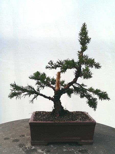 IMAG0090.jpg