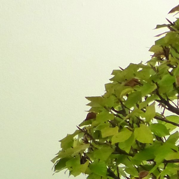 #P1000585-2.jpg