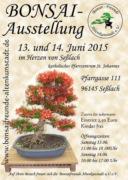 Comp_2015_Plakat_Sessla.jpg