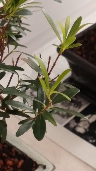 20150311_190703.jpg