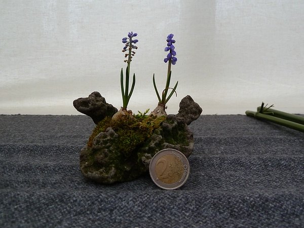 comp_P1020191.jpg
