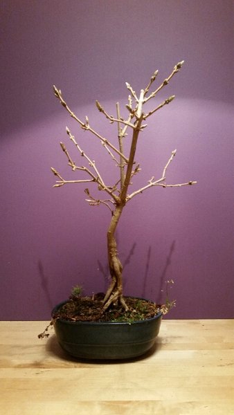 2015-03-17 20.05.35.jpg