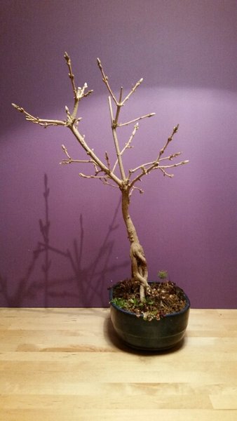 2015-03-17 20.07.35.jpg