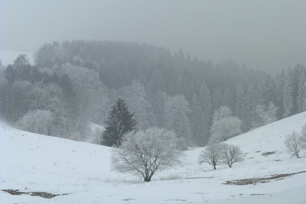 winter 009....b...jpg