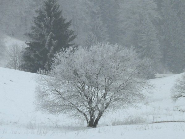 winter 009....b.;.jpg