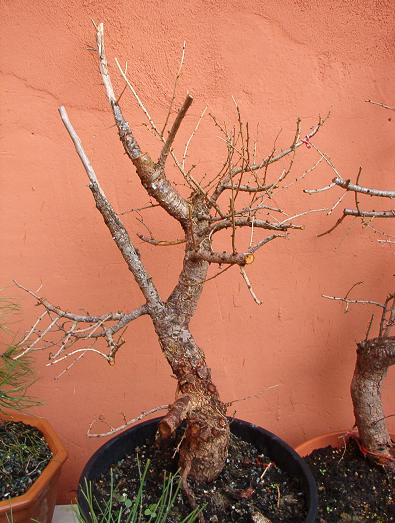 andere Seite
