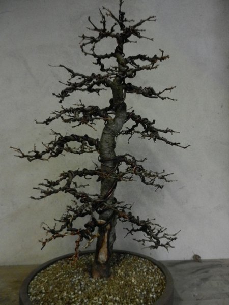 DSCN1584.JPG