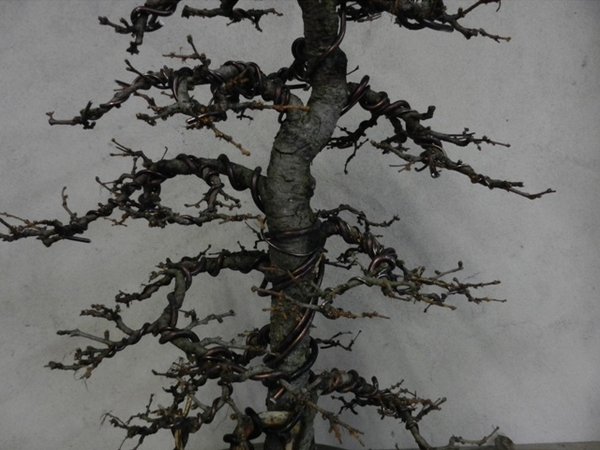 DSCN1586.JPG