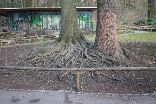 IMG_0760.geaendert3.JPG