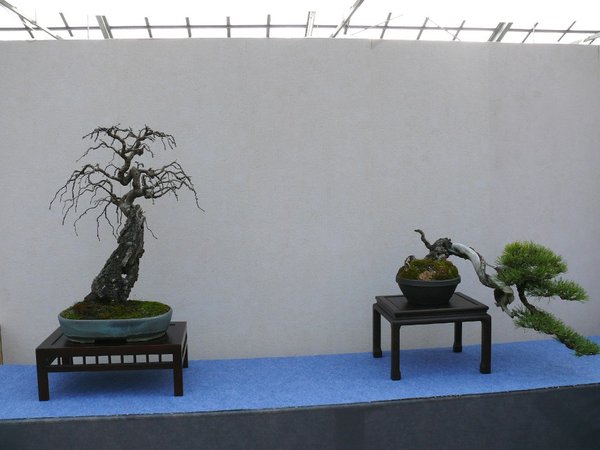 P1120592k.JPG