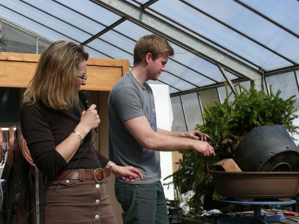 Rückseite. Hier wird der Wurzelballen der Gestaltung der Rückseitenäste im Weg sein