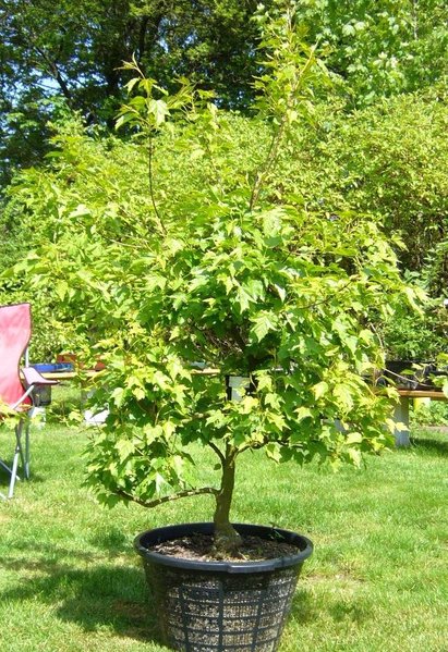 Mai 2010