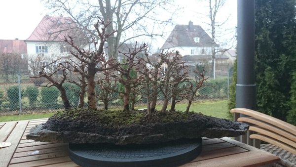 2015040511185400.jpg