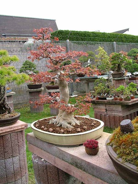 DSCF3575.jpg